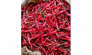 DRY RED CHILLIES  WHOLE (GUNTUR QUALITY)