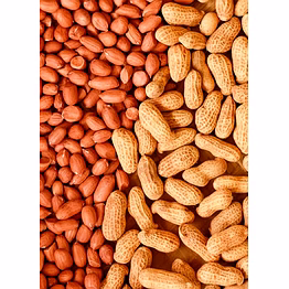 groundnuts (in shell) groundnuts kernels