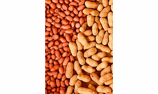 GROUNDNUTS (IN SHELL) GROUNDNUTS KERNELS