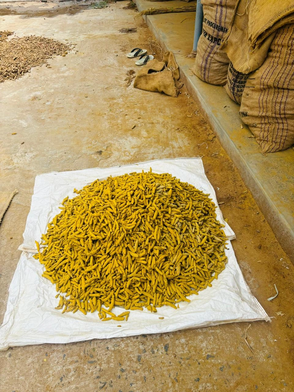 TURMERIC WHOLE-2