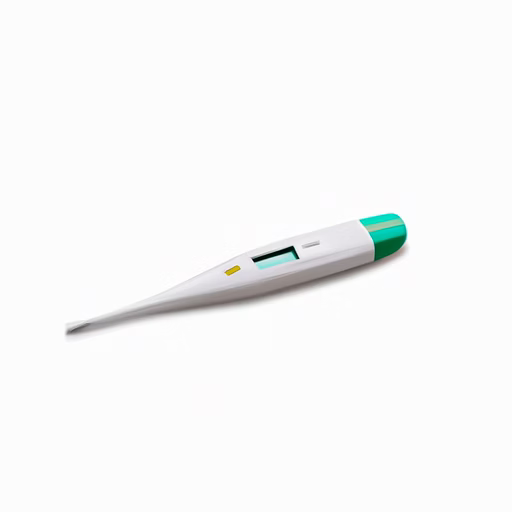 Digital Thermometer image 1