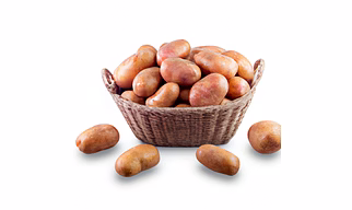 Fresh Organic Potatoes