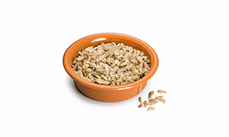 Groundnut Seeds