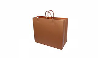 Paper Bags