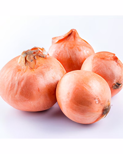 Fresh Organic Onions-1