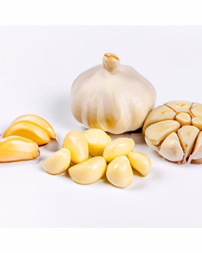 Fresh Organic Garlic-1