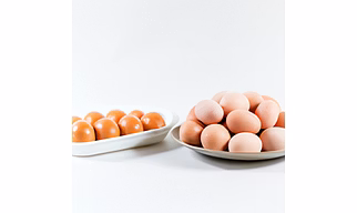 Egg Products