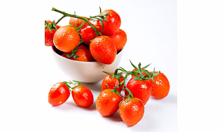 Fresh Organic Tomatoes – Bulk Supply | Farm Fresh Red Tomato Supplier from India