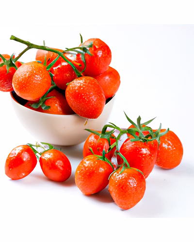 Fresh Organic Tomatoes – Bulk Supply | Farm Fresh Red Tomato Supplier from India-1063065-ai-catalog-35fd5fb4