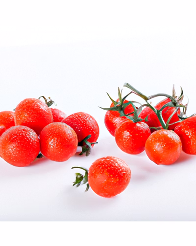 Fresh Organic Tomatoes – Bulk Supply | Farm Fresh Red Tomato Supplier from India-1