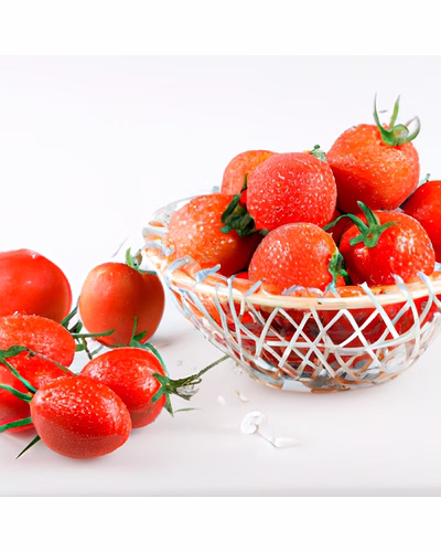 Fresh Organic Tomatoes – Bulk Supply | Farm Fresh Red Tomato Supplier from India-2