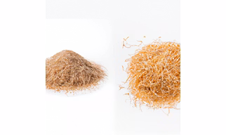 Rice Husk