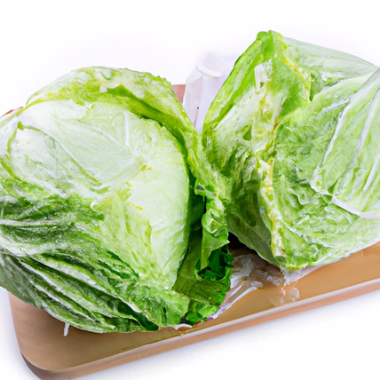 Fresh Organic Cabbage-1