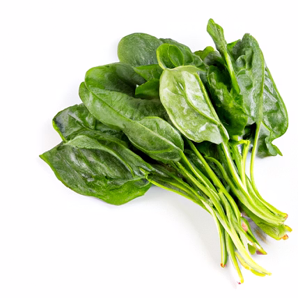 Fresh Organic Spinach-1063065-ai-catalog-9fb7123d