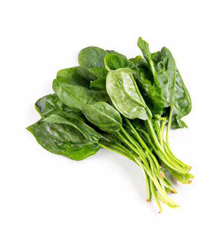 Fresh Organic Spinach – Bulk Supply | Farm Fresh Green Spinach Supplier from Ind-1063065-ai-catalog-9fb7123d