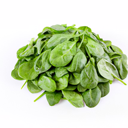 Fresh Organic Spinach-2